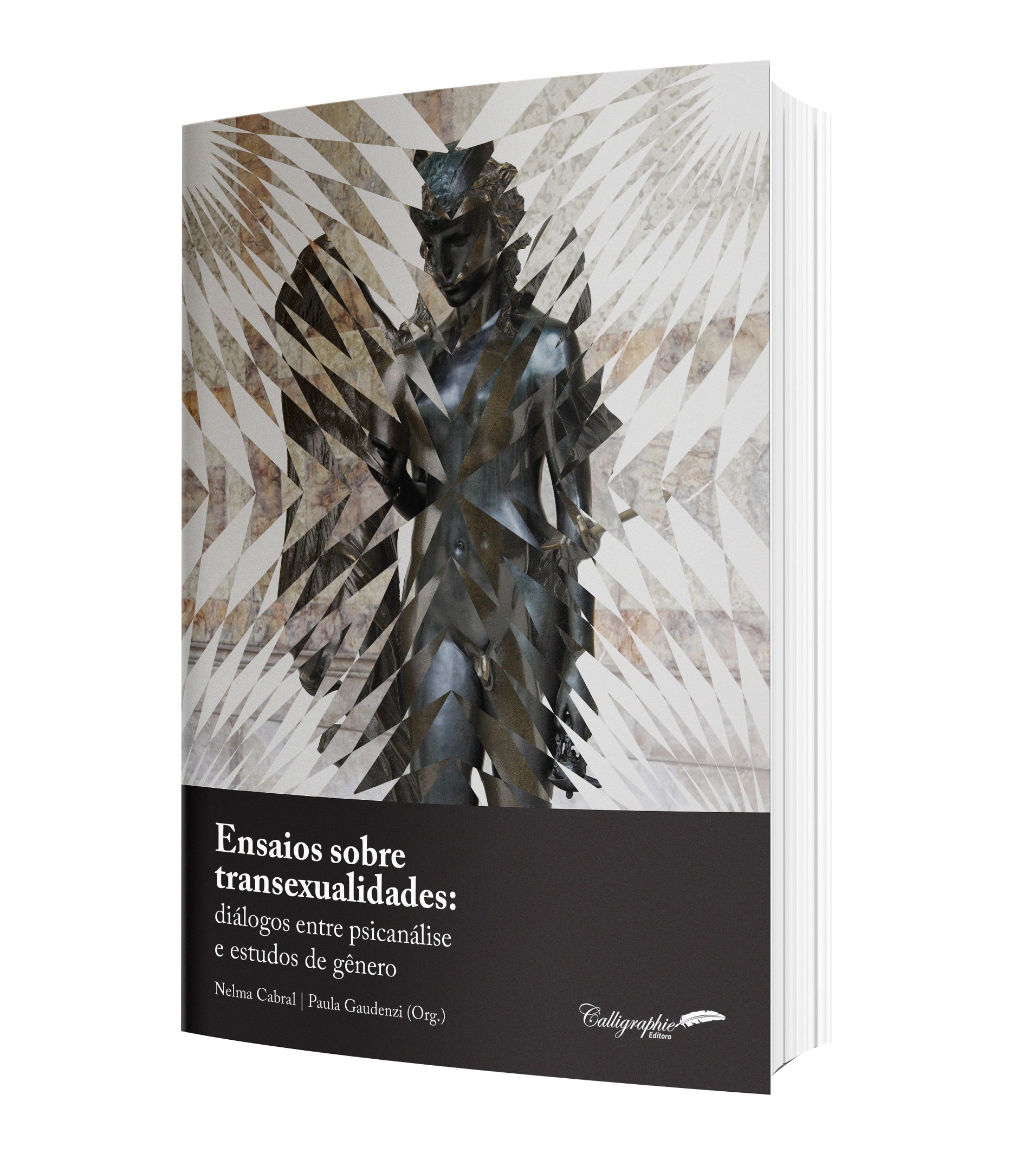 Read more about the article Resenha – Ensaios sobre transexualidades: diálogos entre psicanálise e estudos de gênero